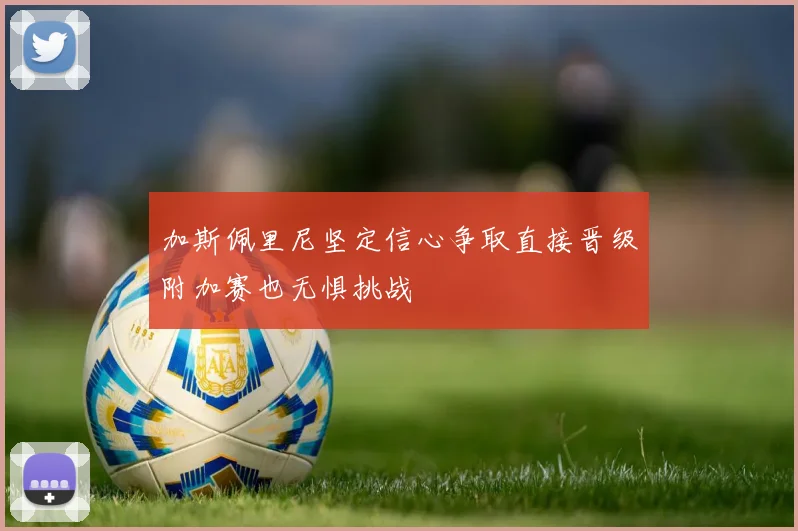加斯佩里尼坚定信心争取直接晋级附加赛也无惧挑战