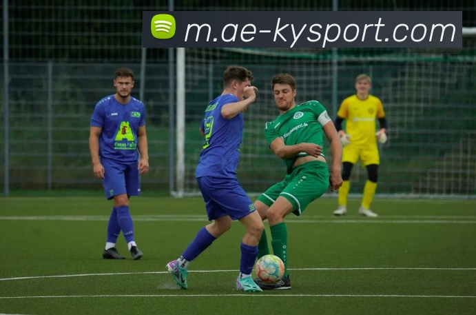 开云足球APP 封面图